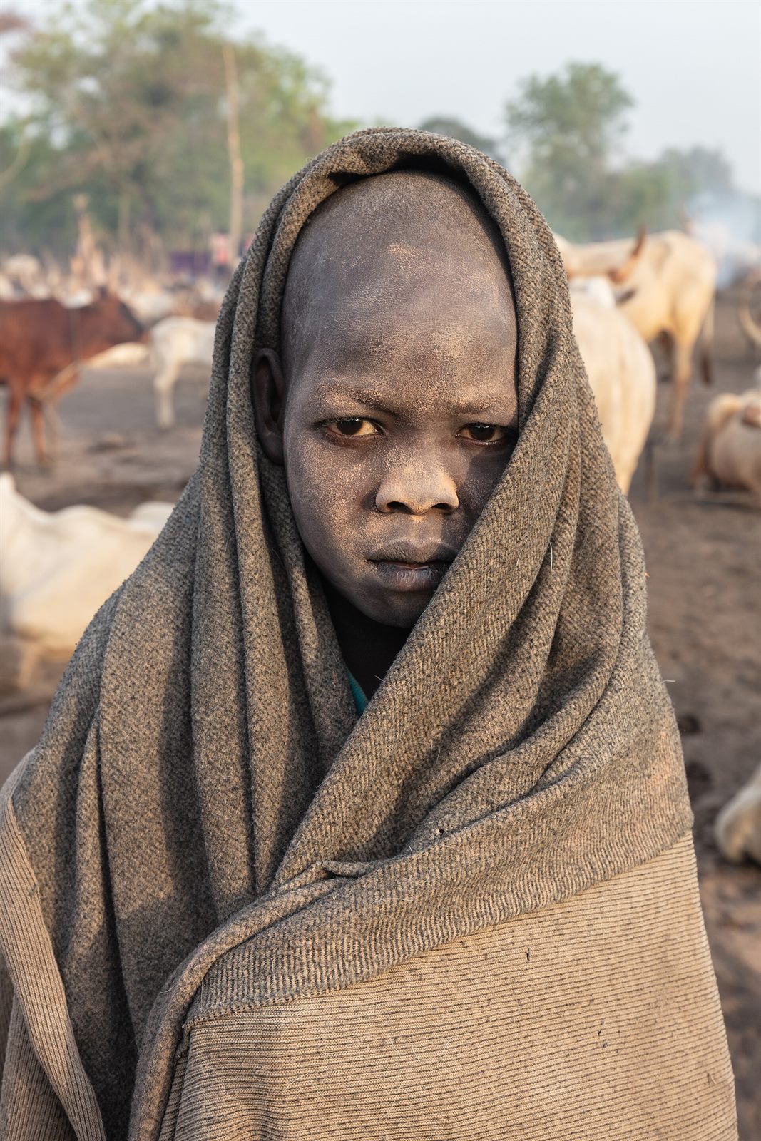 Mundari Cattle Camp